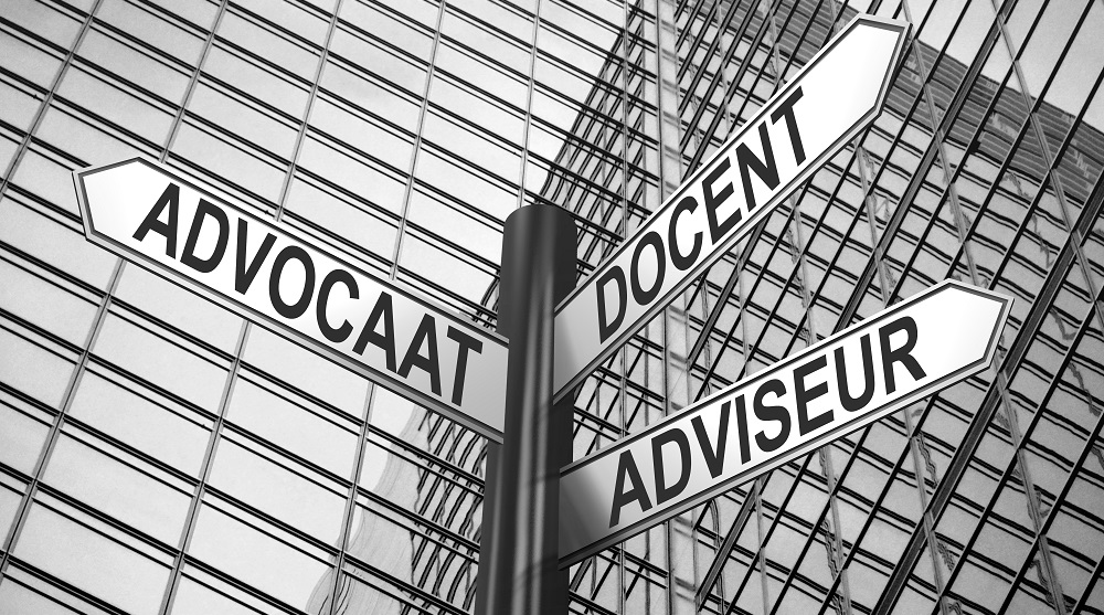 Vijverberg Advocaten en Adviseurs