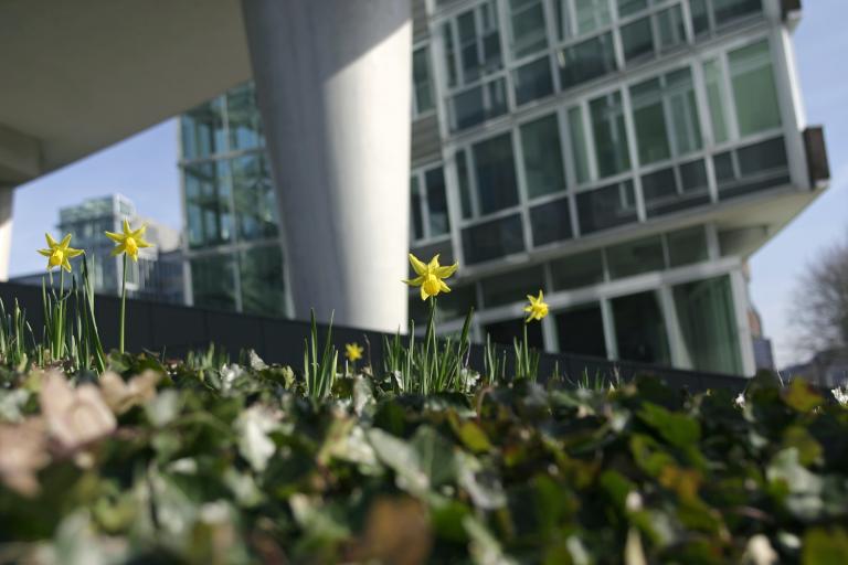 SW-bedrijf maakt gebruik van Vijverberg als huisadviseur