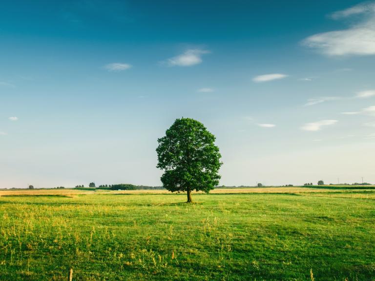 Nieuwe publicatie | Wanneer belanghebbend in het omgevingsrecht: ‘gevolgen van enige betekenis’? 