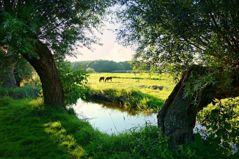 Omgevingswet kan door volgens plan