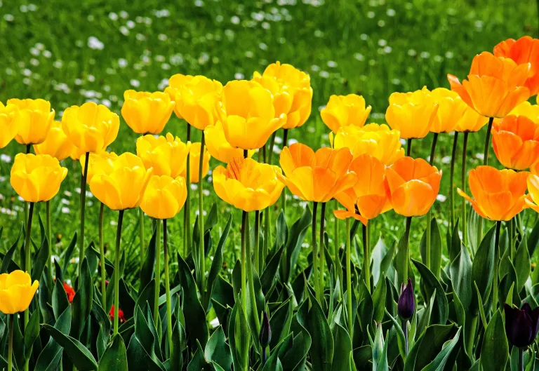 Nieuwsbericht verlof en feestdagen