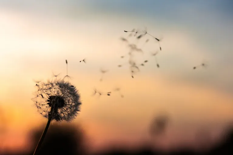 Verplichte gedragscode tegen ongewenst gedrag: internetconsultatie gestart