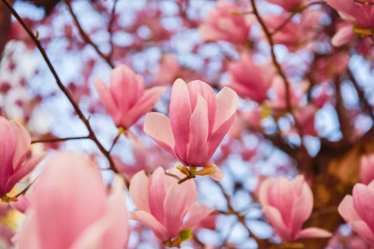 Nieuws | Kantonrechter oordeelt over rechtsgeldigheid persoonlijke toeslag bij overgang van onderneming