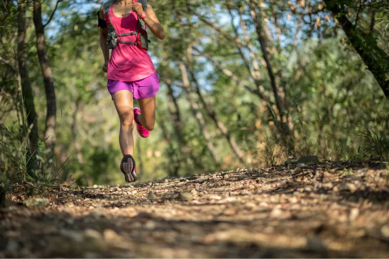 Nieuws | Voorzieningenrechter: doden probleemwolf op de Hoge Veluwe mag doorgaan