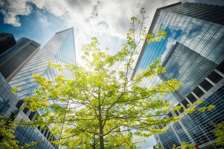 Nieuws | Overgang van onderneming en tóch ontslag