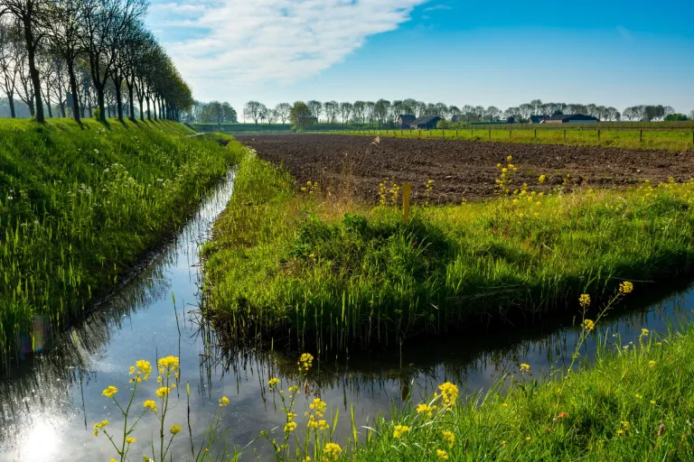 Nieuws | Natuurvergunningen gedeeltelijk intrekken? Afdeling bestuursrechtspraak biedt handvatten