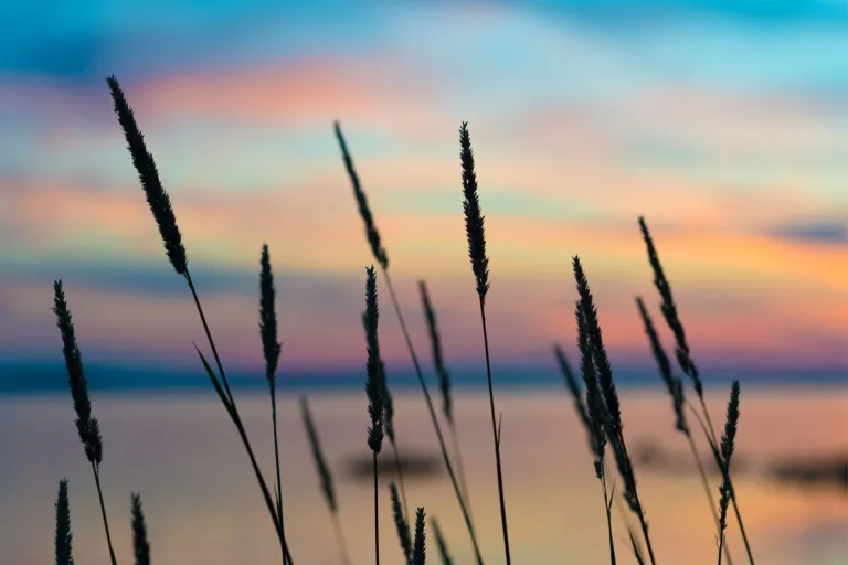 Nieuws | De praktische schatting als uitgangspunt bij WIA-beoordeling