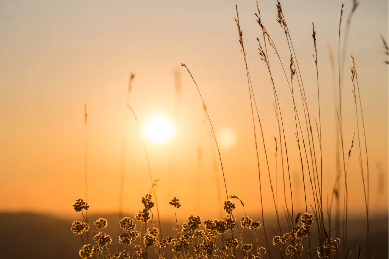 Nieuws | Eigenrisicodrager voor de Ziektewet? Let op deze wijzigingen