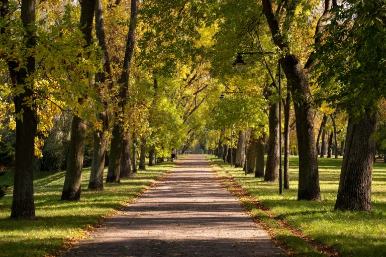 Nieuws | Verduidelijking UWV-procedure bij ontslag in het kader van een overgang van onderneming