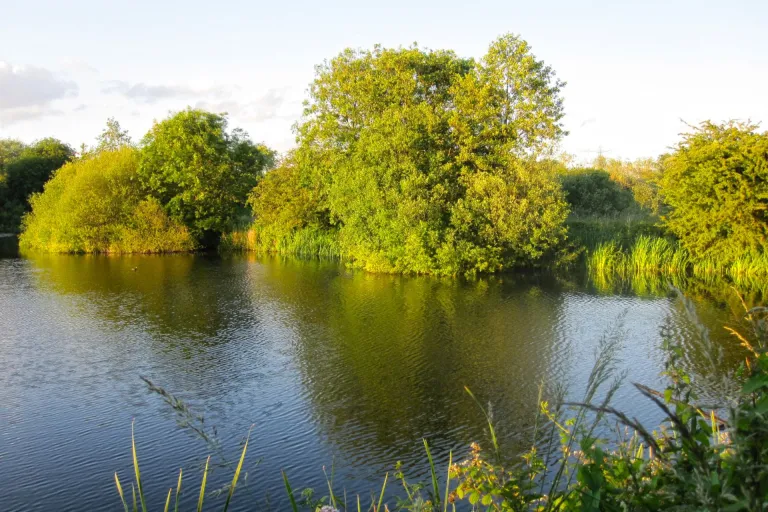 Nieuws | Positieve weigering op grond van Wet natuurbescherming geen referentiesituatie
