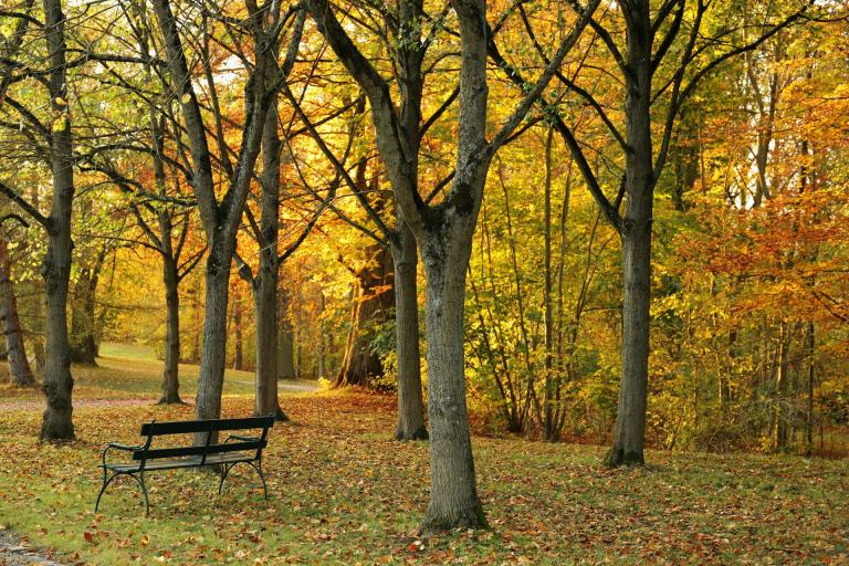 Nieuws | UWV moet opnieuw oordelen over bekortingsverzoek werkgever