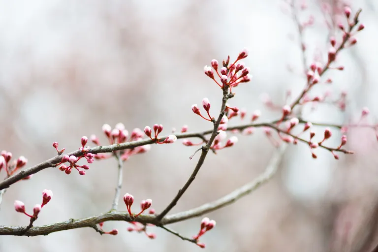 Nieuws | Veranderingen er in de Cao Gemeenten en SGO