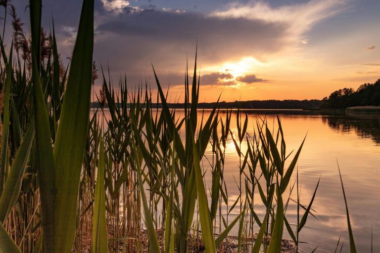 Nieuws | Weigeren van mediation kan loonstop rechtvaardigen