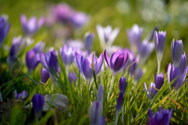 Nieuws | Aangepaste regels voor aanbestedingsrecht 2026