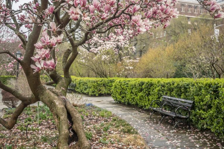 Nieuws | kabinet schrapt verduidelijkingsdeel VBAR en werkt aan Zelfstandigenwet